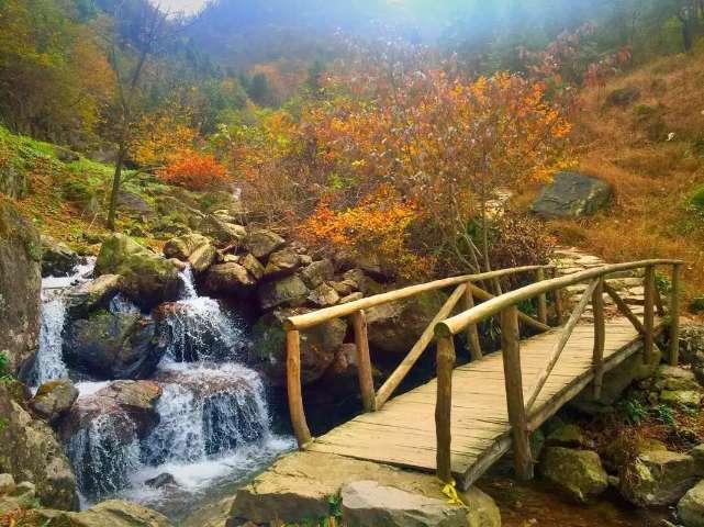 驾驶地带ol无限金币版下载