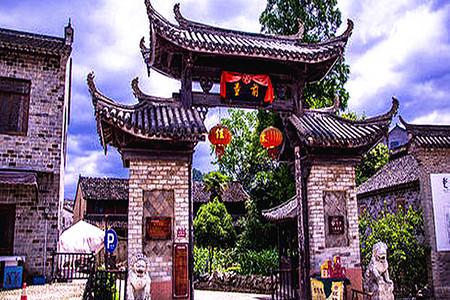 植物大战僵尸20